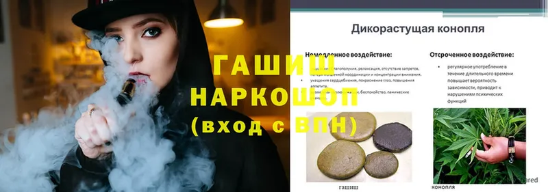 блэк спрут зеркало  Александровск  нарко площадка наркотические препараты  Гашиш Изолятор 