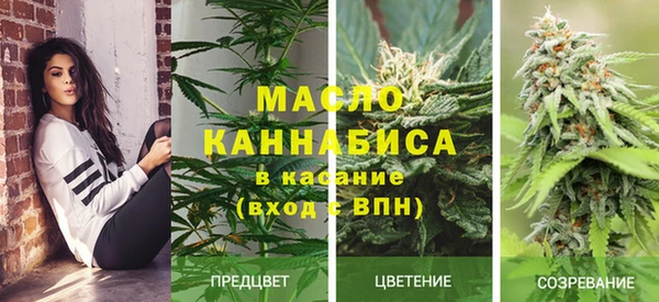 молекула духа Остров