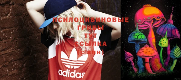 mix Осинники