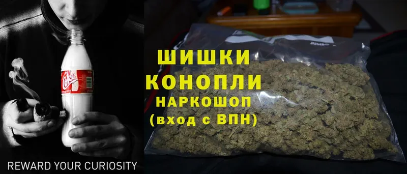Бошки Шишки план  Александровск 